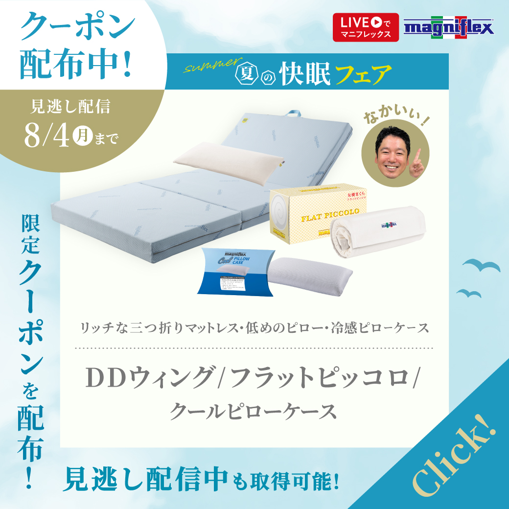 第3弾 DDウィング、フラットピッコロ、クールピローケース